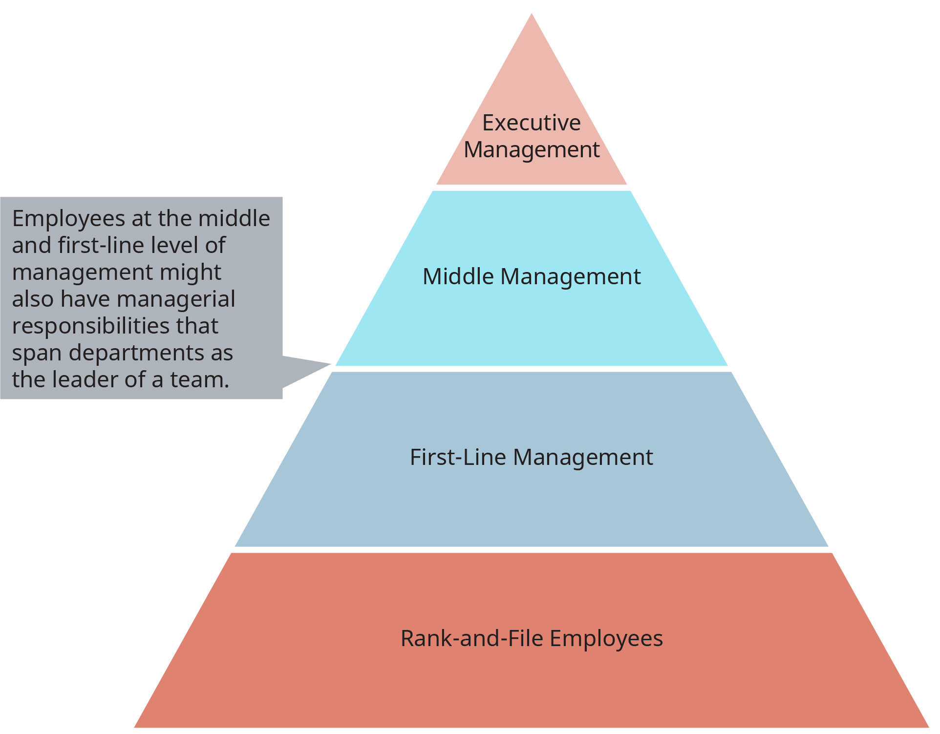 Levels in the Management Hierarchy