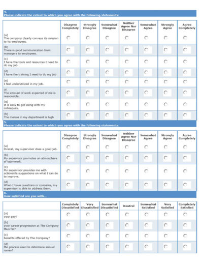 Sample Employee Satisfaction Survey1