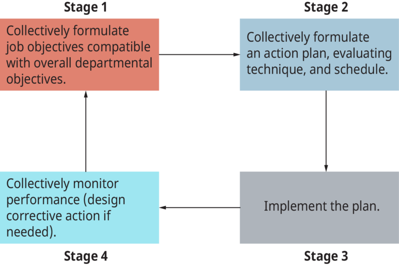 The Management by Objective (MBO) Process