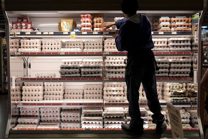 Workers stacking eggs