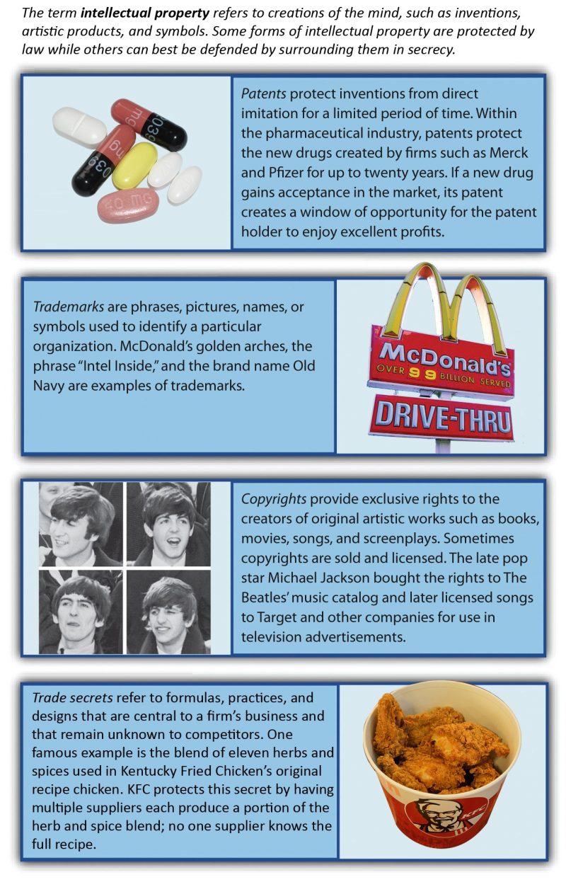 Figure 4.8 Types of Intellectual Property, image description available